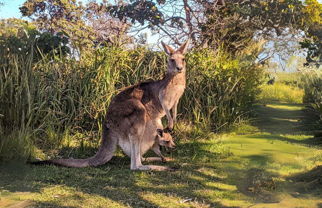 North Stradbroke Island Day Trip - Photo 3
