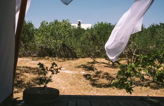 Lovely Cottage With sea Views in Selca, Croatia - Foto 68