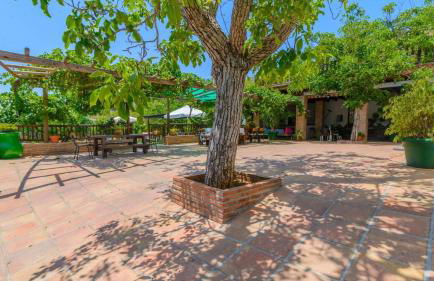 La Casita del Campo Alcaucín by Ruralidays - Photo 41