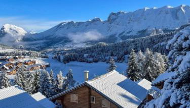 La joue du loup Bord des pistes - Chalet en bois de charme pour 10 personnes - Photo 1