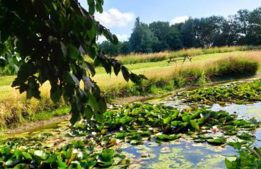 Seerosenhof - Foto 9