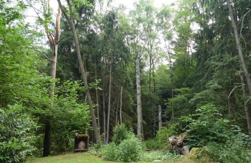 Ferienwohnung Niemann in Lutterloh - Photo 9