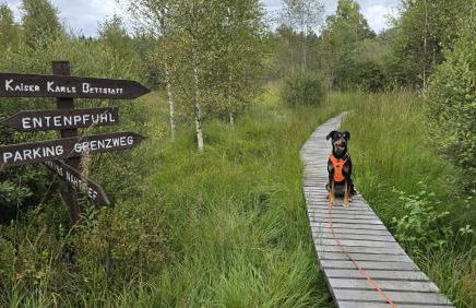 Ferienwohnung ADVENTURE Monschau - Foto 18