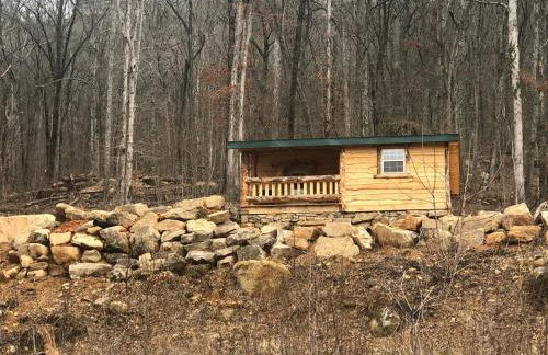 Tree Top View of lookout mountain - Foto 15