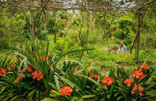 Chalé Ametista na Amarte perto do Templo Budista - Foto 15