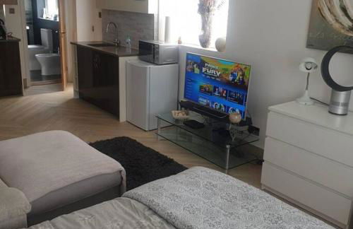 Lovely studio annex in Lilliput - Photo 17