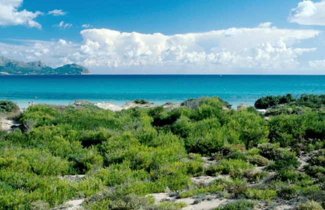 Curling in Alc dia With 3 Bedrooms and 1 Bathrooms - Foto 17