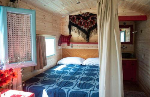 Agriturismo La Rovere - I Carrozzoni Gitani - Foto 25