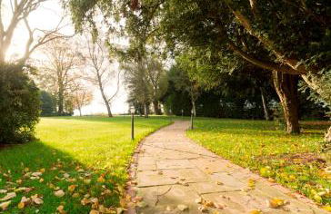 Leigh Park Country House Hotel & Vineyard, BW Signature Collection - Foto 33