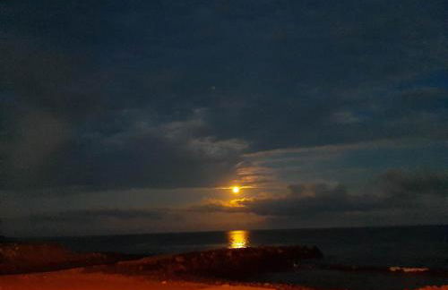 Villa de Bruma Faial da Terra - Photo 24