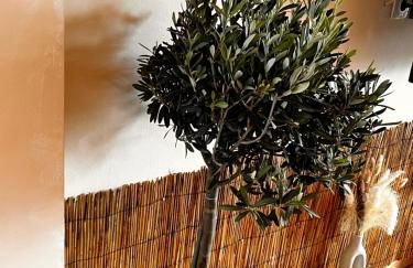 Agape Studios - Foto 5