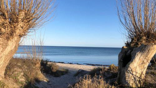 Haylees Hus 2 - Foto 4