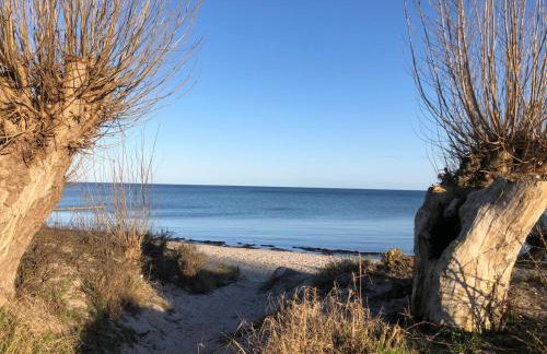 Haylees Hus 2 - Foto 4