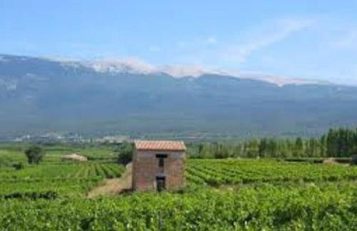 Moulin des Gypses Gîte Les Pampres, Ventoux - Foto 9