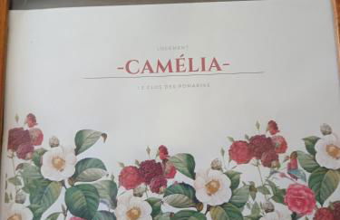 Le Clos des Romarins Gîte CAMELIA - Foto 1