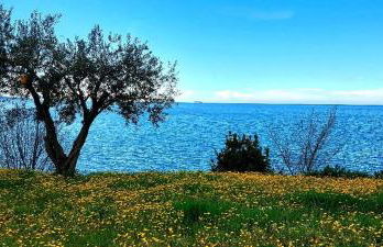 Apartment Trieste M&M - Foto 39