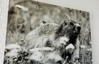 L'AnsloBoys Montagne J4 - Foto 28