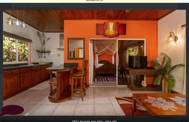 Effi Mountain View Colibri Villa - Photo 5