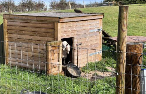 Poachers Hut 1-Bed Cottage Sleeps 2 Pet Friendly - Foto 20