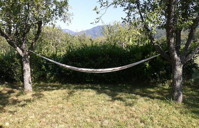 Peaceful Stay With Garden - Photo 20