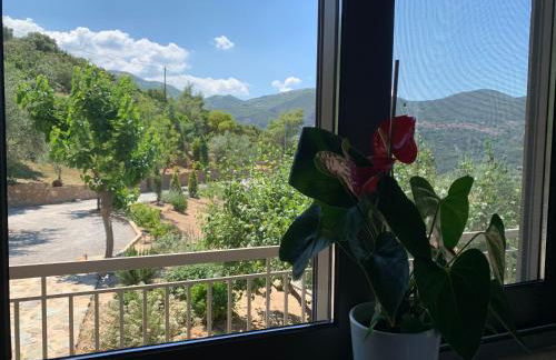 Olive Guest Farm - Foto 20