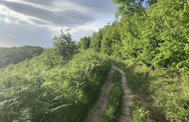 Florenc's Apartment - Foto 44