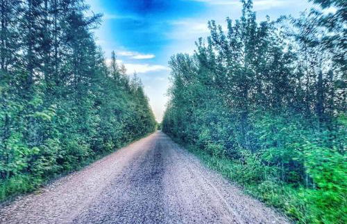 Paddler's Paradise Cabin with Direct Trail Access! - Foto 44