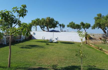 Electra Studios - Foto 89