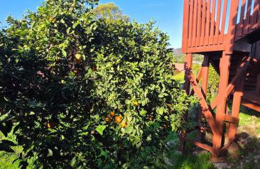 Mountains Views with Pool & Basketball, Relax & Play! - Foto 56