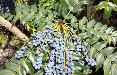 La Bergerie - Foto 6