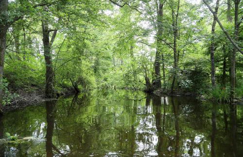 Unique Luxury Villa 22 min to Munich 290m2 Pool Sauna - Foto 63