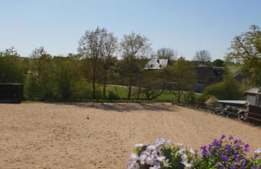 Moderne Ferienwohnung Black Beauty auf idyllischem Reiterhof nähe Burg Eltz - Foto 18