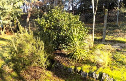 La Palmyre - MAISON INDIVIDUELLE - au CALME - PROCHE FORET - Foto 19