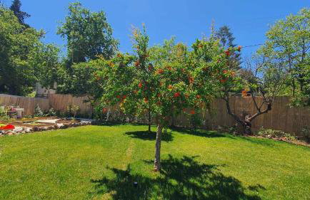 Villa Anasa Residence - Foto 78