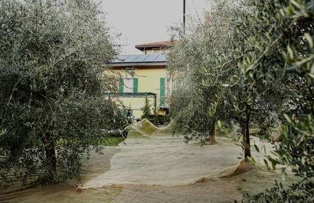 Agriturismo Conca Sandra - Farm Stay on Lake Como - Foto 51