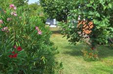 Apartmani Stefano - Foto 7