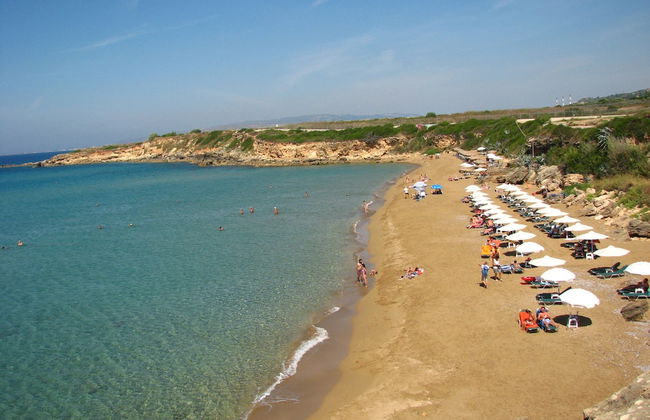 Queen Bee Residence - Photo 73