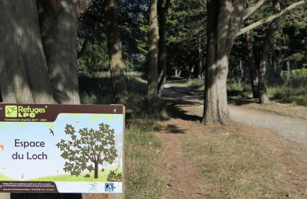 Villa pecheur - Photo 35