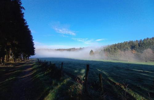 Ferienwohnung Kessler's Eifeldomizil - Foto 42