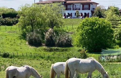 Villa ARGUIBEL - Foto 45