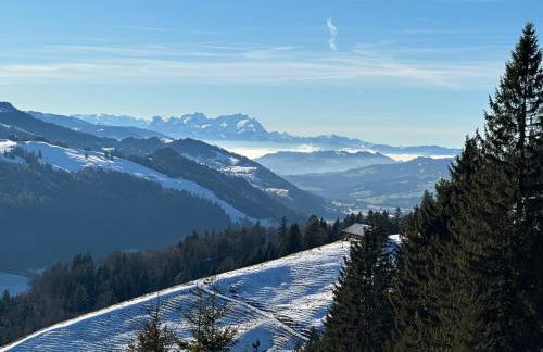 Wald Lounge - Foto 67