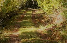 Haus mit Seele im Nahetal - Foto 49