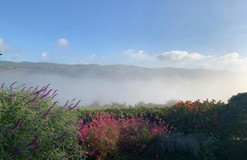 Luxury Serviced Cottage in a Historical Chianti Borgo - Foto 29