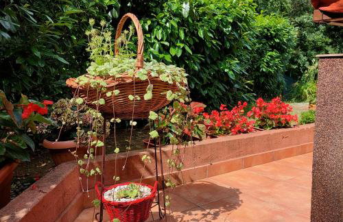 Apartman Karmen - Foto 4