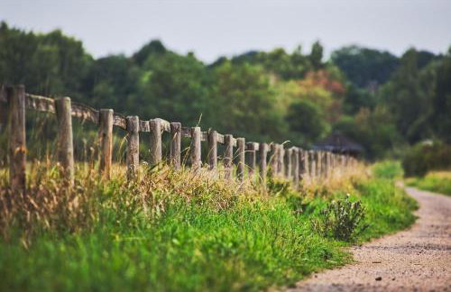 Gosewatt Wohnung 4 - Foto 18