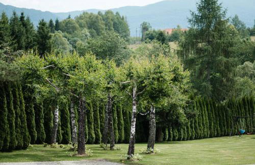 Dom Malowany - Domki - Foto 37