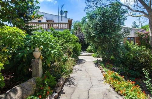 Can tronca - Foto 11