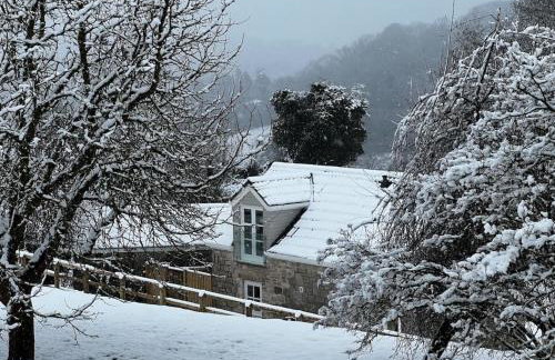 The Old Workshop, Monkton Combe - Elegant Countryside Retreat near Bath - Foto 32