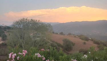 afa butrone sarrola - Foto 3