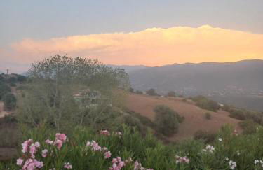 afa butrone sarrola - Foto 3